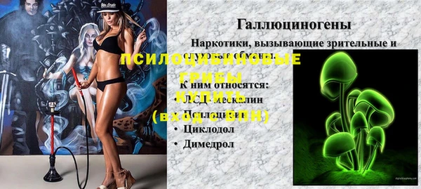 молекула духа Алексеевка