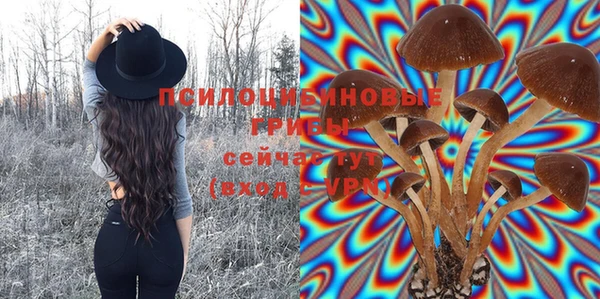 спиды Алзамай